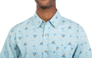 Shark Print