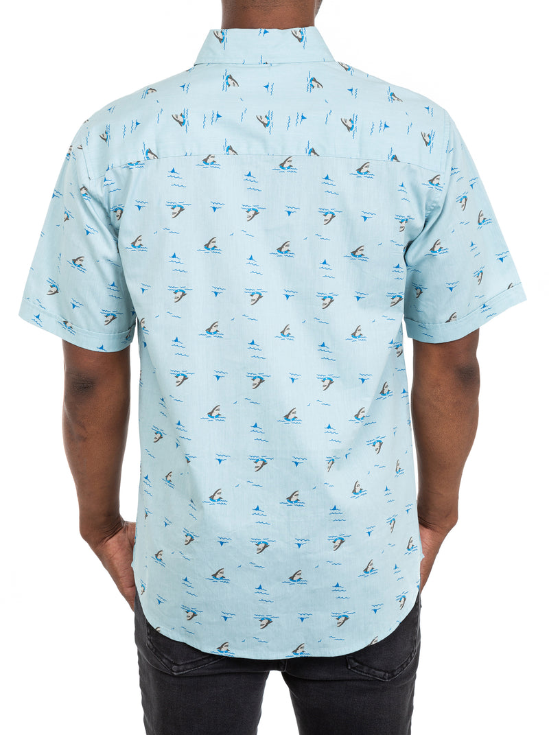 Shark Print