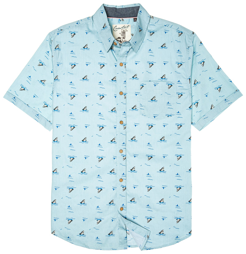 Shark Print